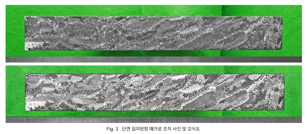 단면 길이방향 매크로 조직 사진 및 모식도