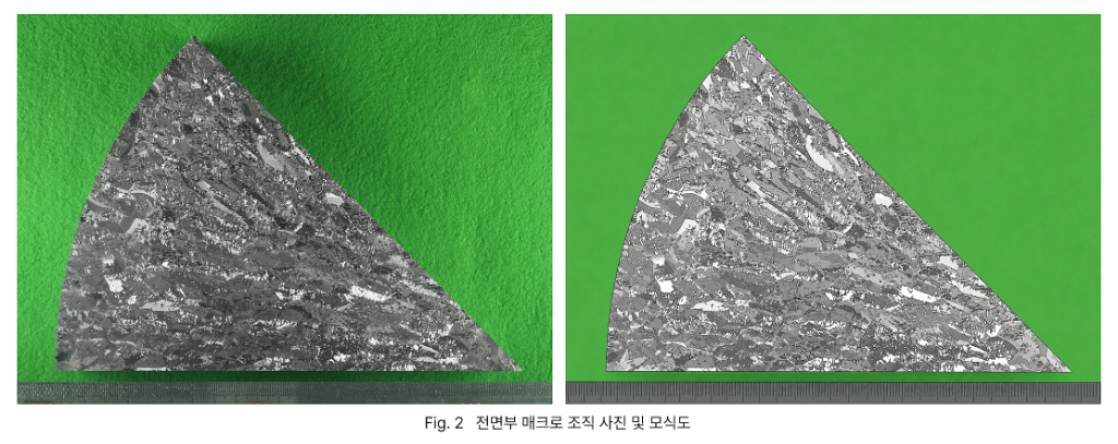 전면부 매크로 조직 사진 및 모식도