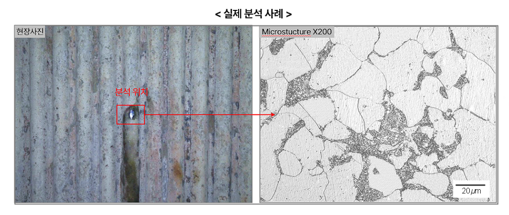 실제 현장 분석 및 미세조직 복제 결과