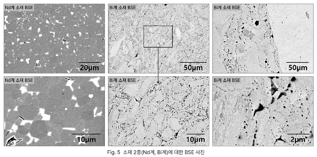SEM 미세조직 관찰 (Nd계, Bi계 소재)